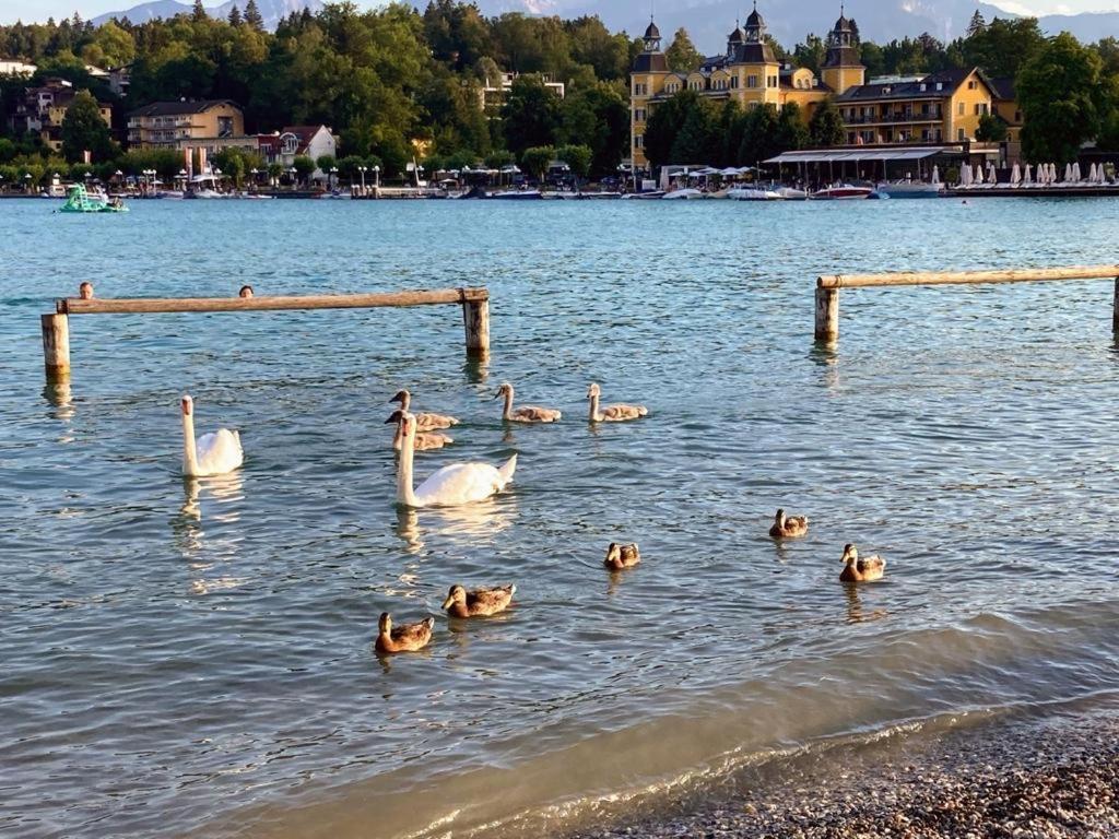 Appartement Mittagskogel Velden am Wörthersee Exterior foto